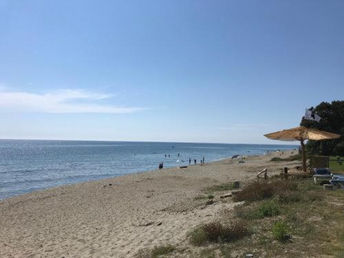 A 5 Mn A Pied De La Mer, Piscine ,Tennis, Paillote Cervione Exterior foto
